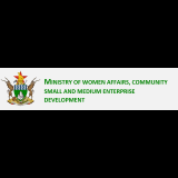 Stronger collaboration needed to boost Zim leather industry