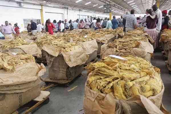 Tobacco players deny price fixing