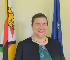 EU envoys offer rare positive view of Zim