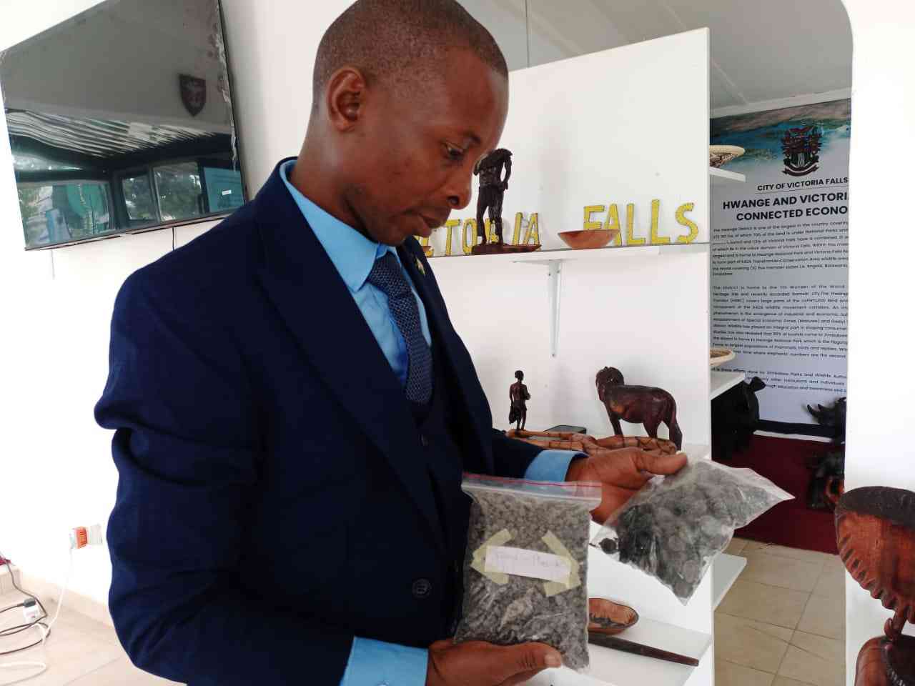 Zim, SA councils showcase cross-border model at trade fair