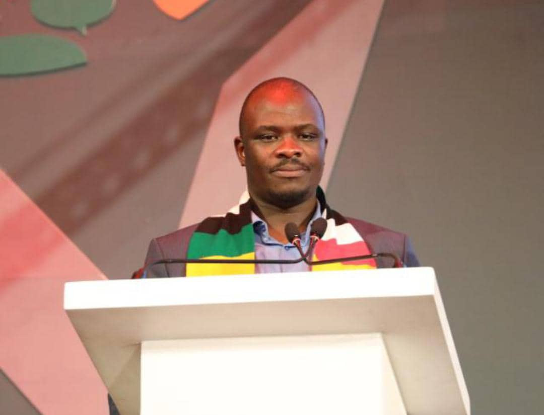 ZANU-PF youth leader remanded over alleged anti-ED2030 remarks