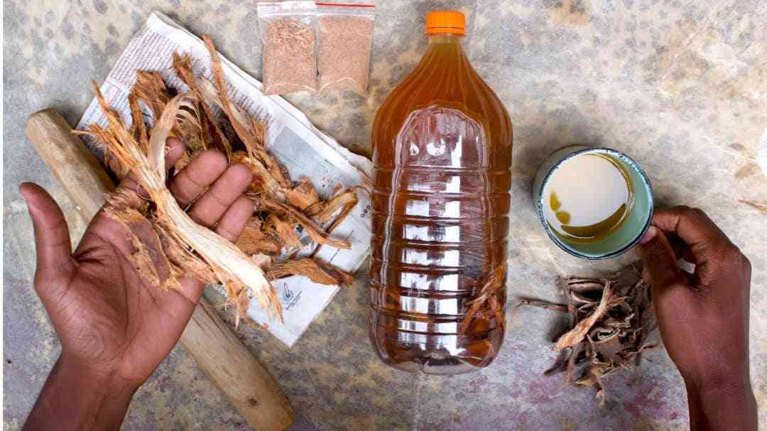 The bitter truth behind ‘guchu’ craze