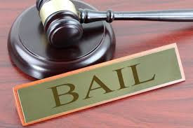 High Court set to rule on MDC 7 bail appeal Thursday