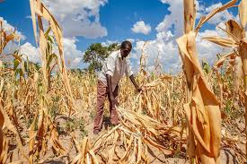 Zimbabwe sets wheels in motion for US$25m climate recovery boost