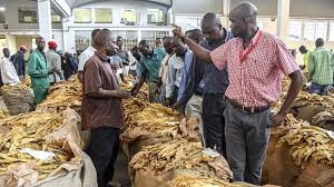 TIMB suspends buyer over tobacco pricing storm