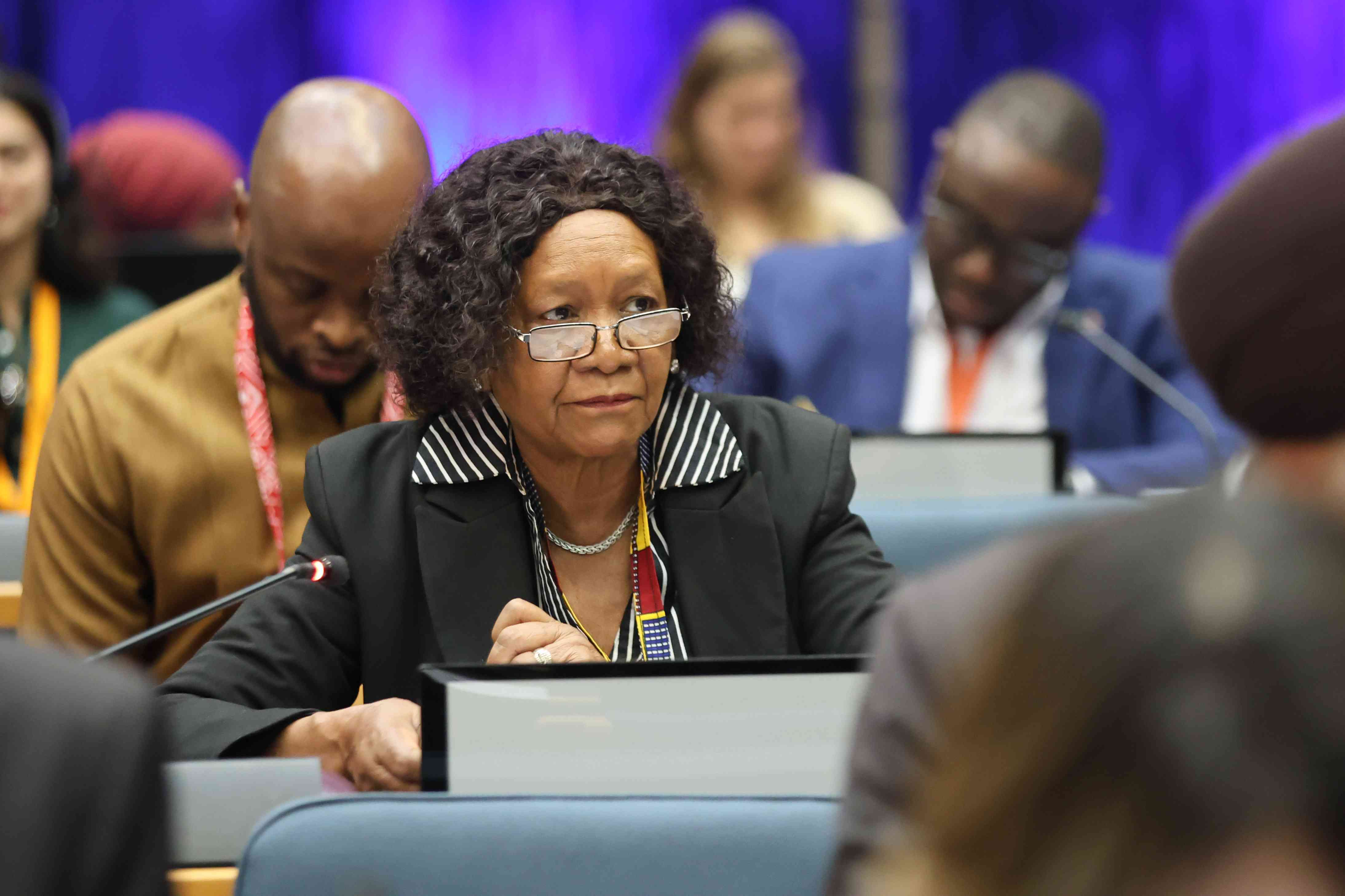 Zim pushes for unified conservation financing framework