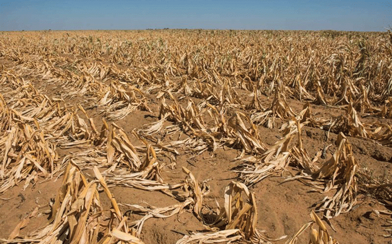 Climate shocks push Zimbabwe to the brink