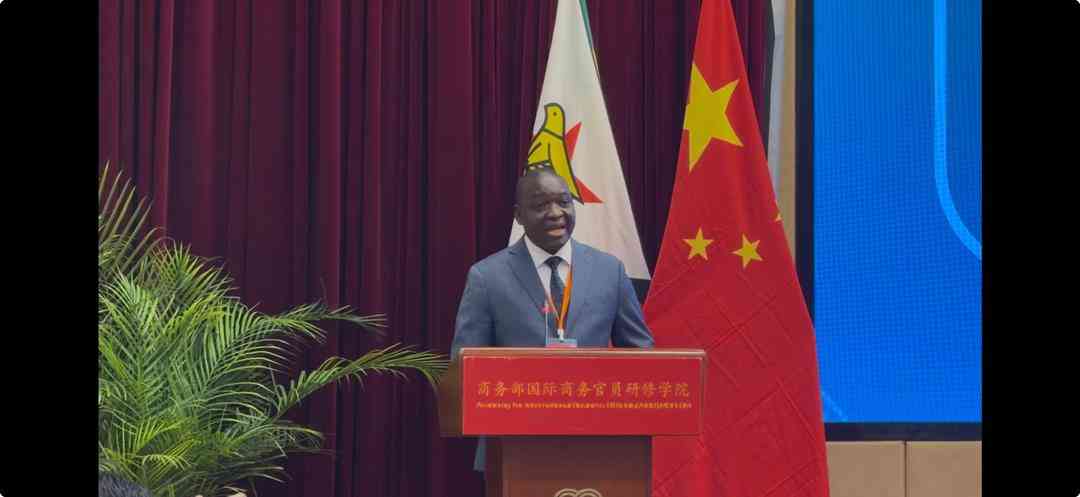 Zim firms ready to cash in on China’s zero-tariff policy