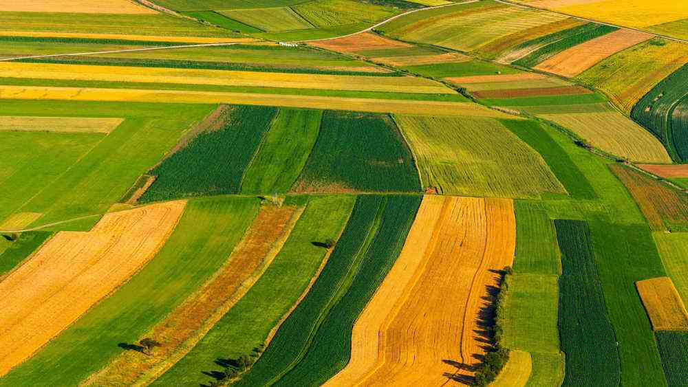 Govt vows to act on land audit, shifts to productivity