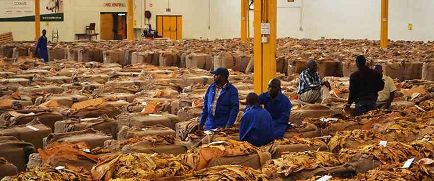 ZRP in crime awareness blitz at tobacco auction floors