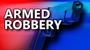 ZRP cannot arrest its way out of an armed robbery epidemic with 28% of its required force: Here is what actually works
