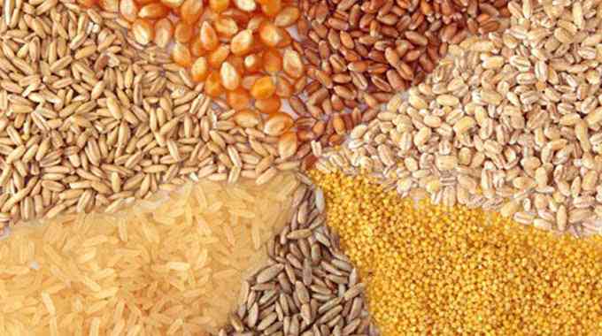 New grain levies proposed as Zim battles climate and food security risks