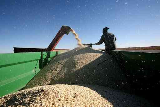 Grain millers issue final demand over 'illegal' levies
