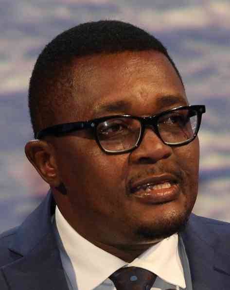 Ex-minister Mzembi acquitted