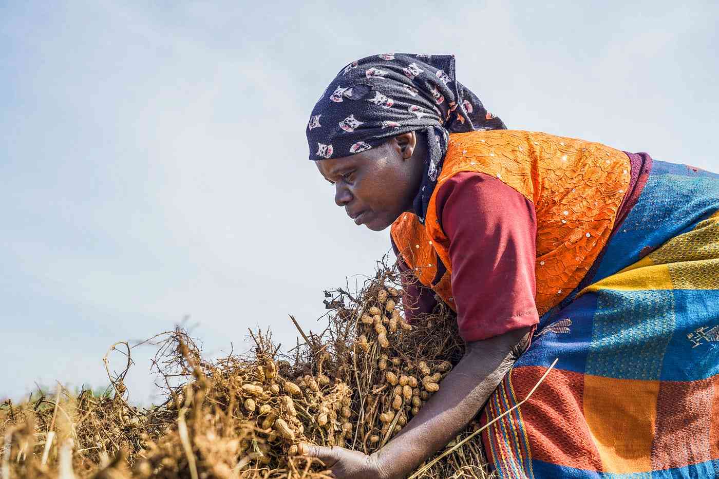 Fews Net warns of fertiliser shortages for 2026/27 season