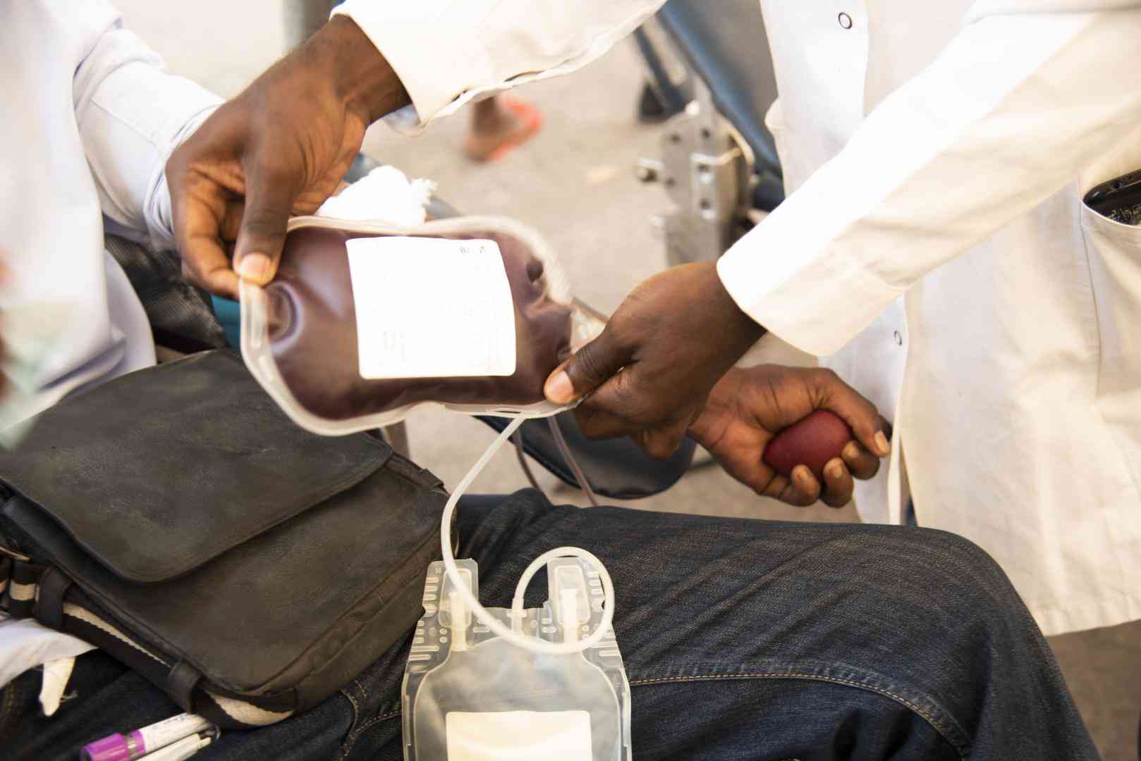 Zim’s fragile blood system needs adult donors