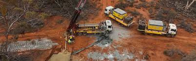 Zim risks losing lithium edge as global race intensifies: OECD