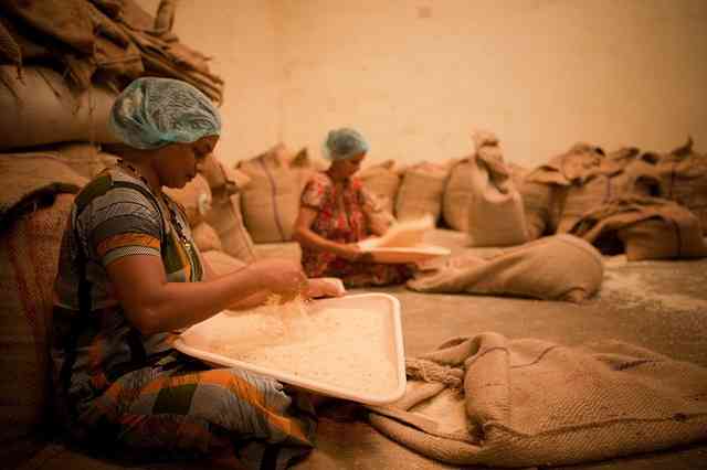 The power of a coin: Why every woman needs her own income