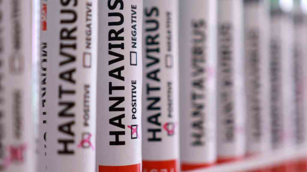 WHO moves to quell hantavirus misinformation