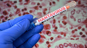 World Health Organization moves to debunk hantavirus myths