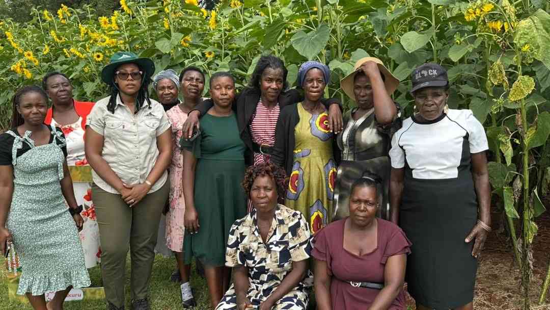Women in farming eye local and export markets at WIFE festival