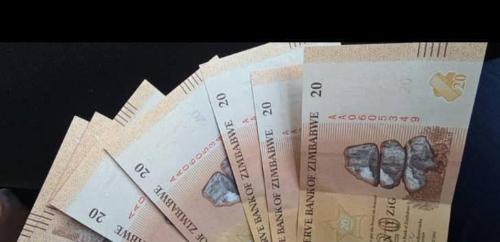 RBZ reports 8% growth, rising reserves and stronger ZiG