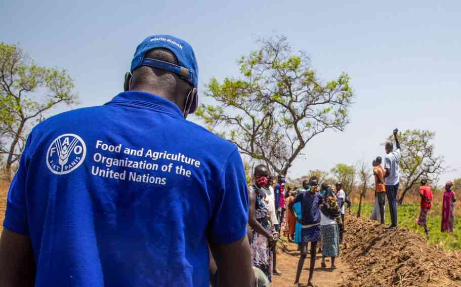 FAO  Intensifies Monitoring of Soil Management Projects in Zim 