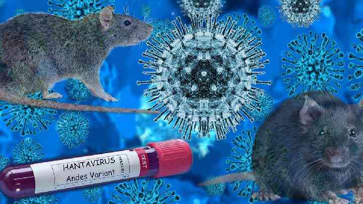 World unprepared? New outbreak sparks pandemic alarm