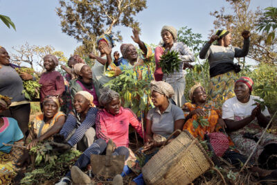 Pitfalls of ignoring community voices in food systems