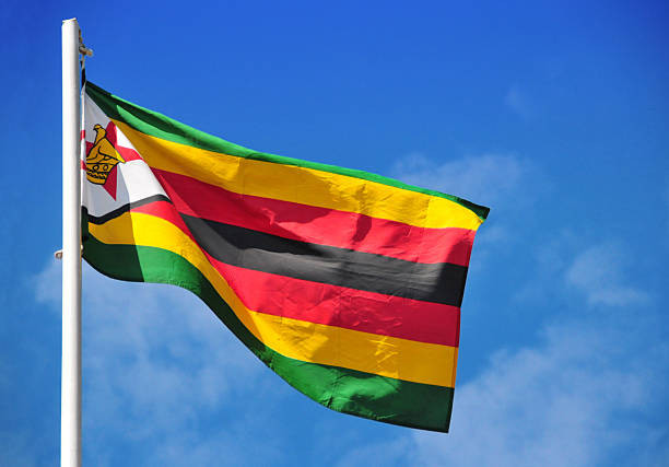 China’s zero-tariff offer tests Africa’s readiness: Why Zimbabwe must act now