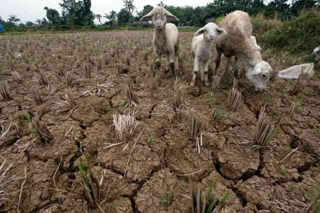 El Niño warning demands early govt action to protect the poor