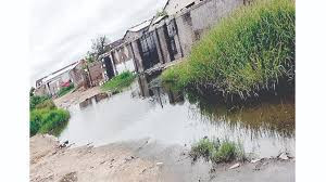 Ema halts MPs’ wetland housing project