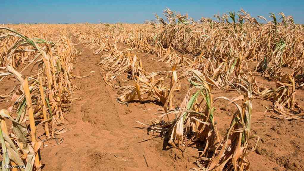 Hope is not policy: Preparing for the 2026 climate shock in Zimbabwe