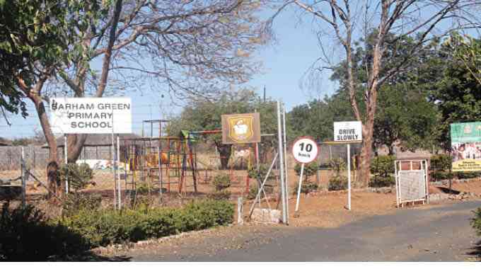 51 pupils hospitalised after bee attack at Bulawayo school