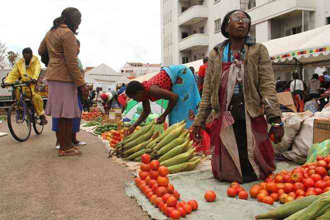 Zimbabwe’s informal economy: Survival strategy or policy failure?