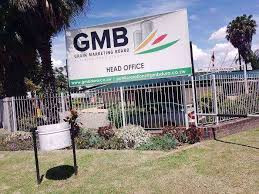 Unequal harvest: GMB accused of favouring wheat over staple grains