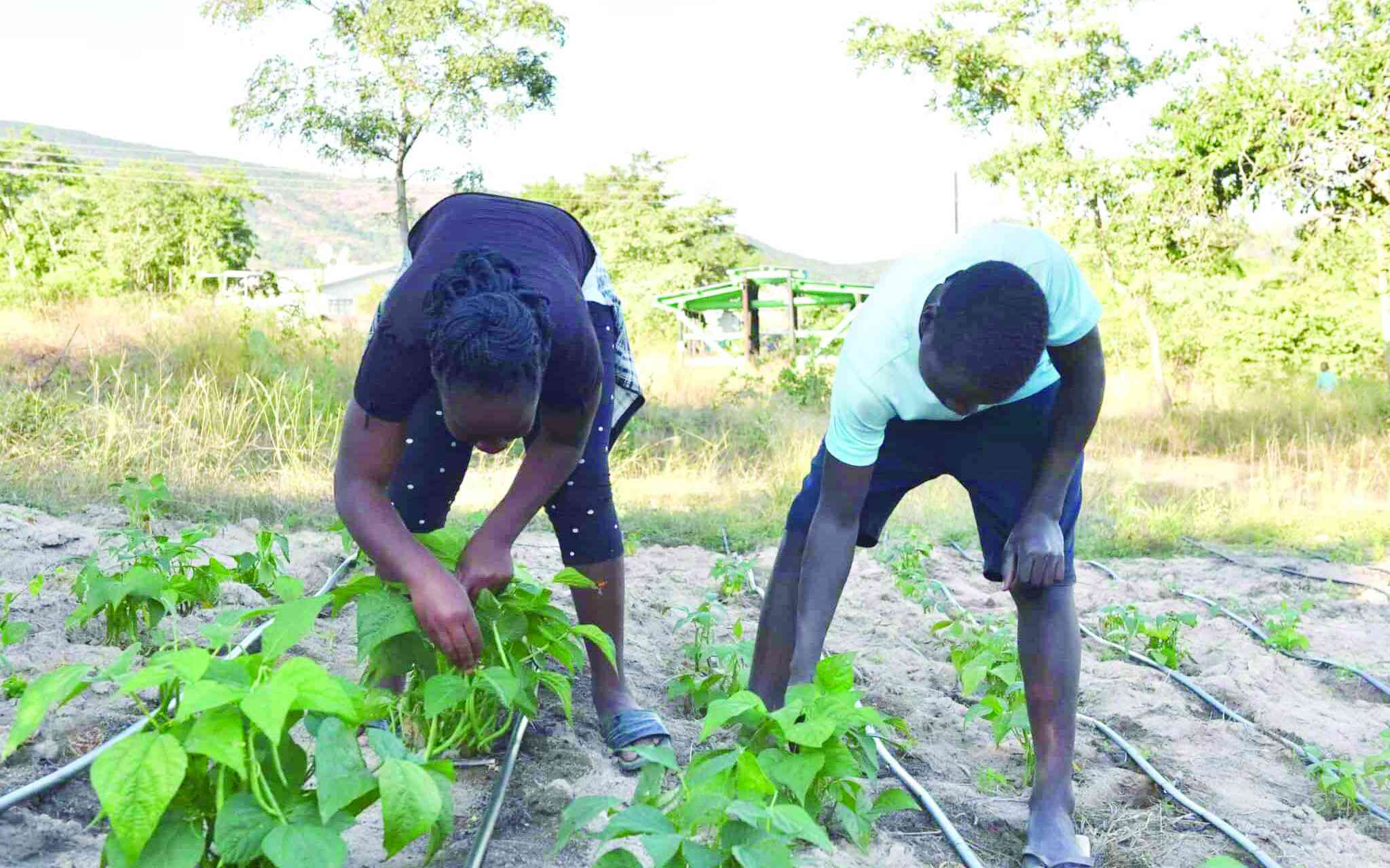 Rewriting the orphan story: How Kuda Vana restores families