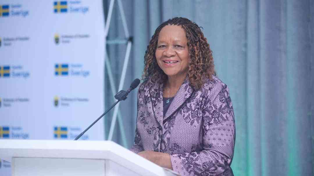 Ndlovu urges government agencies to tap carbon markets for climate funding