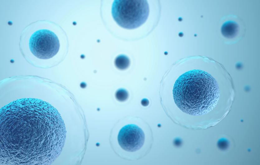 What Is Cellular Nutrition and Why It Matters More Than You Think