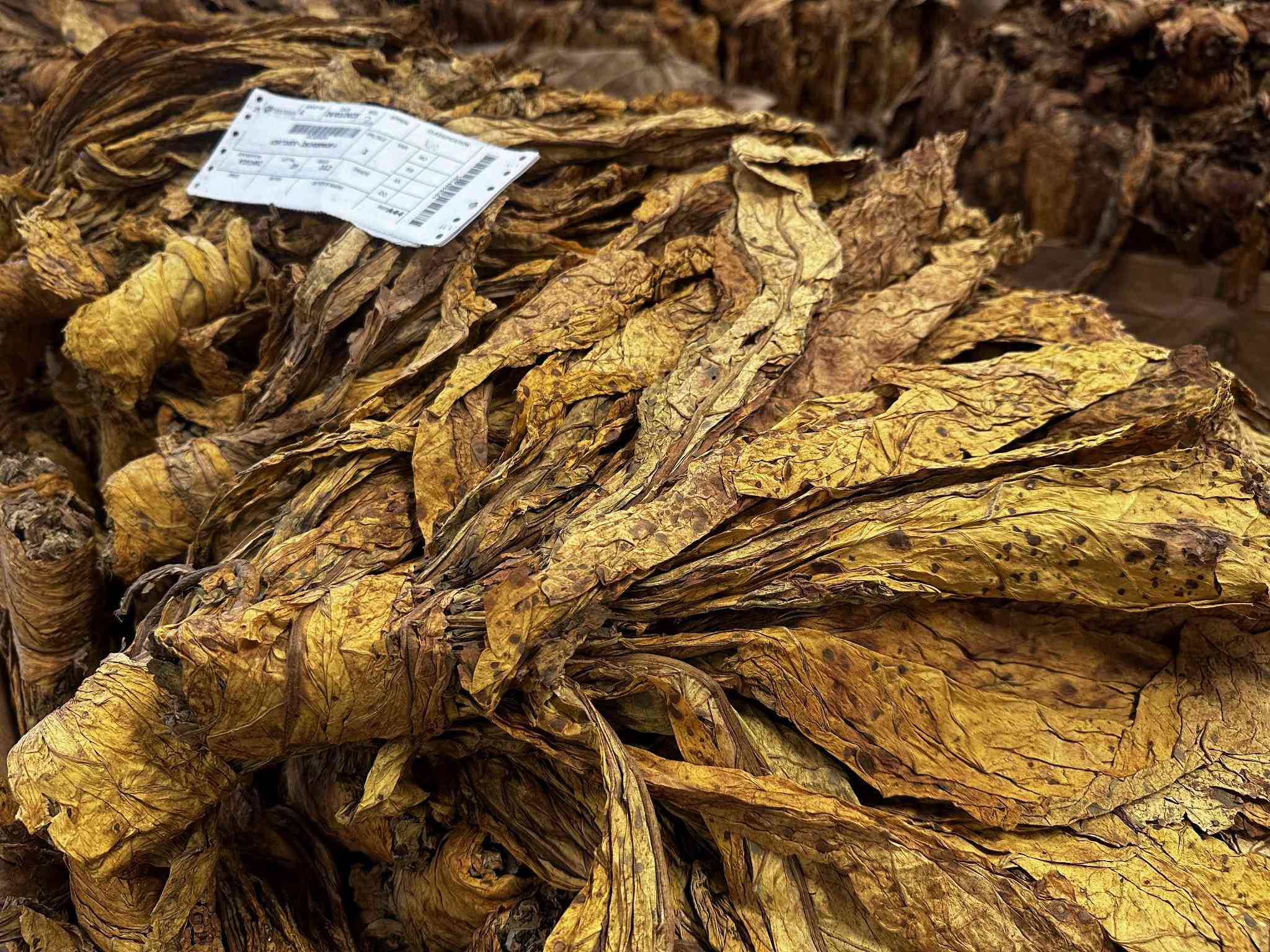 Zim tobacco auction prices rebound