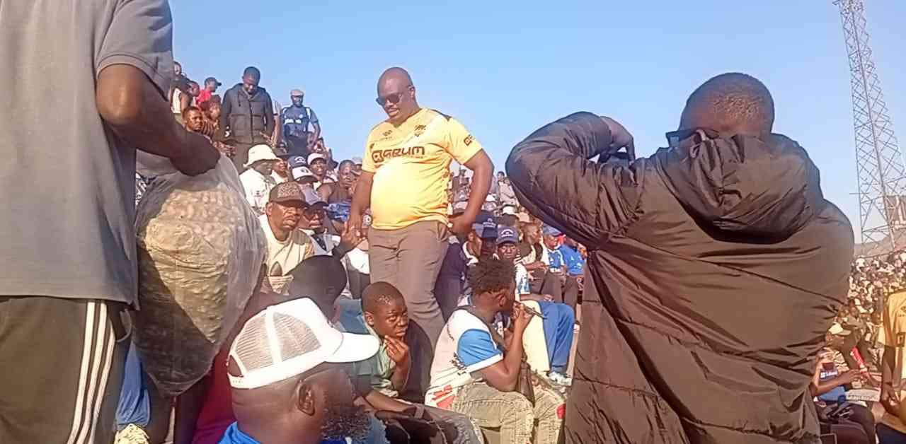Zanu PF hijacks Manica Diamonds.