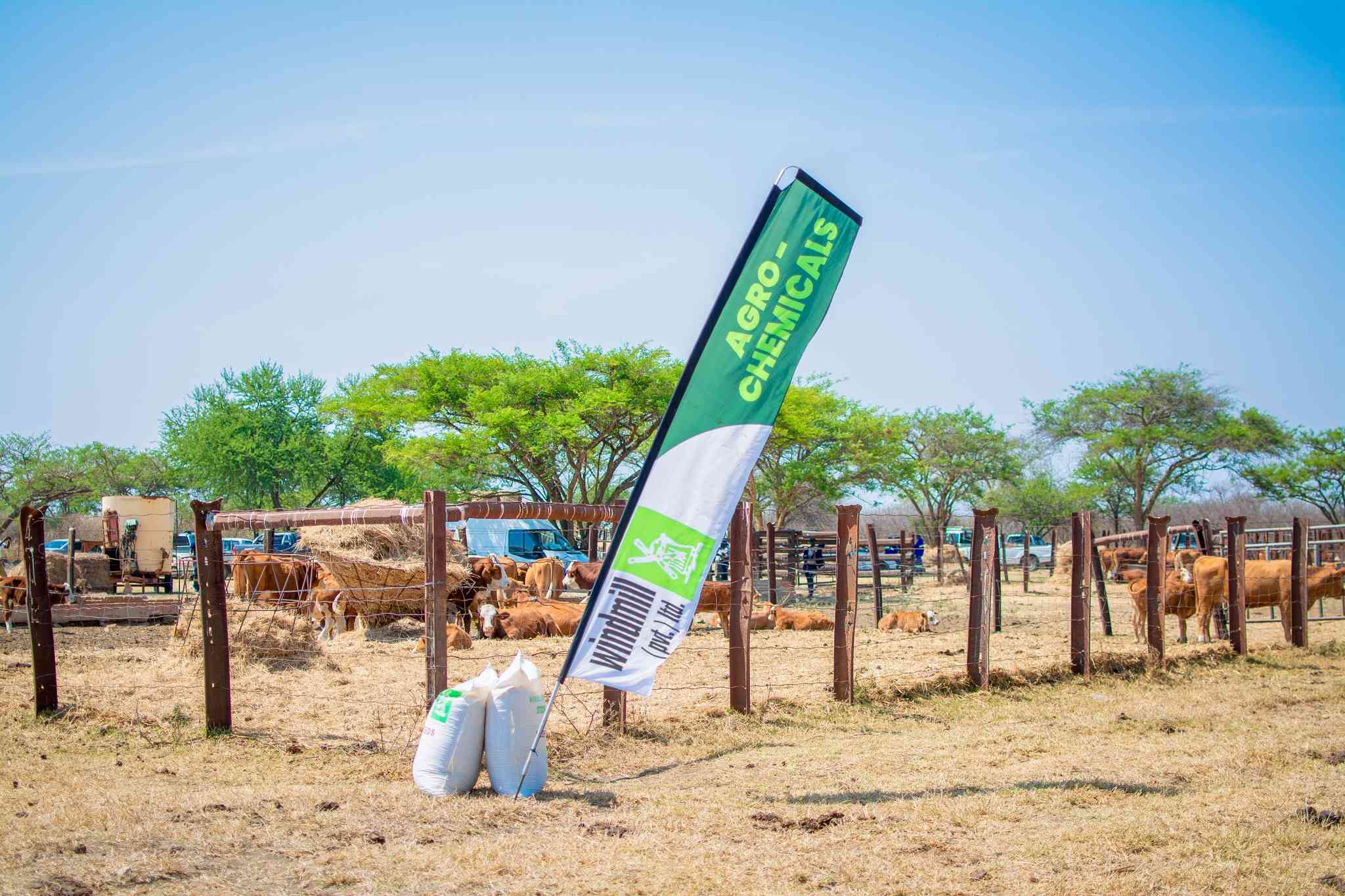 Windmill pivots to regional agribusiness amid diversification push