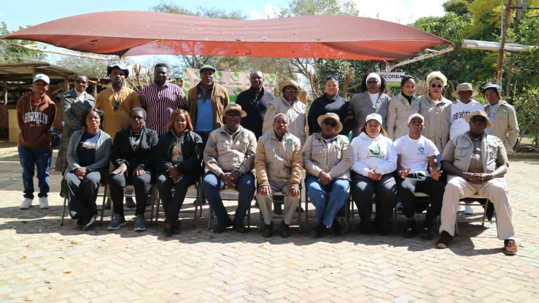 Zicorba raises alarm over rabbit feed crisis