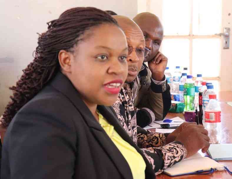 Zimbabwe confronts US$4.8bn climate finance gap as new policy book launches in Harare