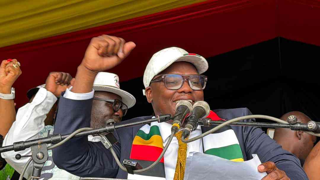Why Mnangagwa’s advisor is under constant attack