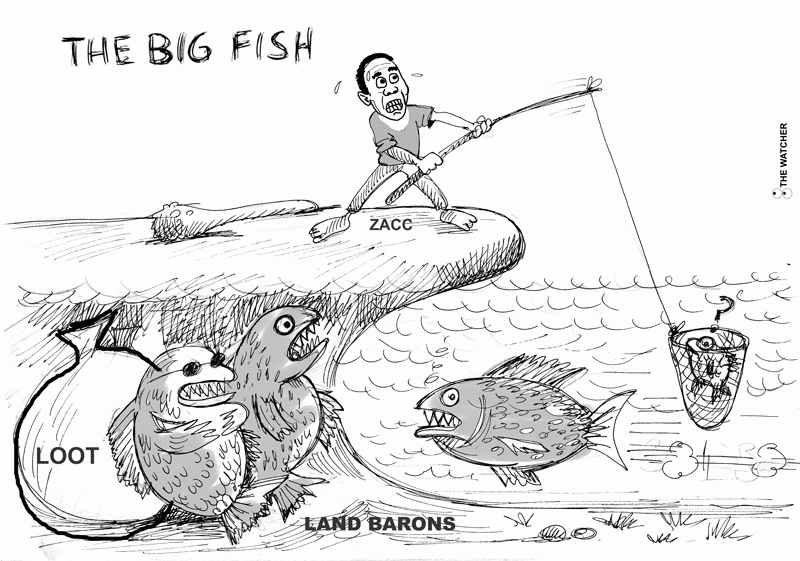 NewsDay cartoon 24 June, 2026 edition