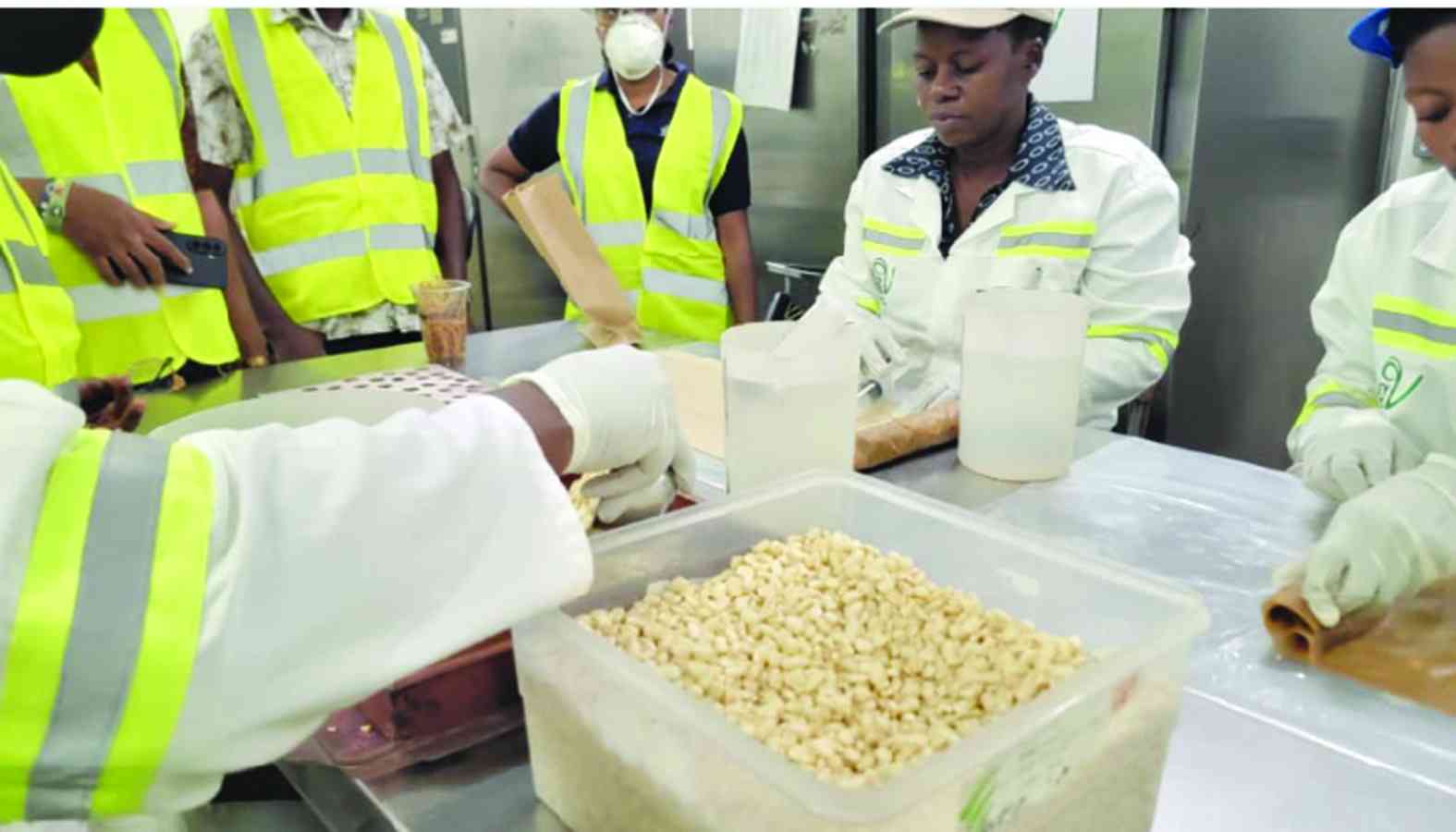 Once a basket case, Zimbabwe now teaches Africa how to farm