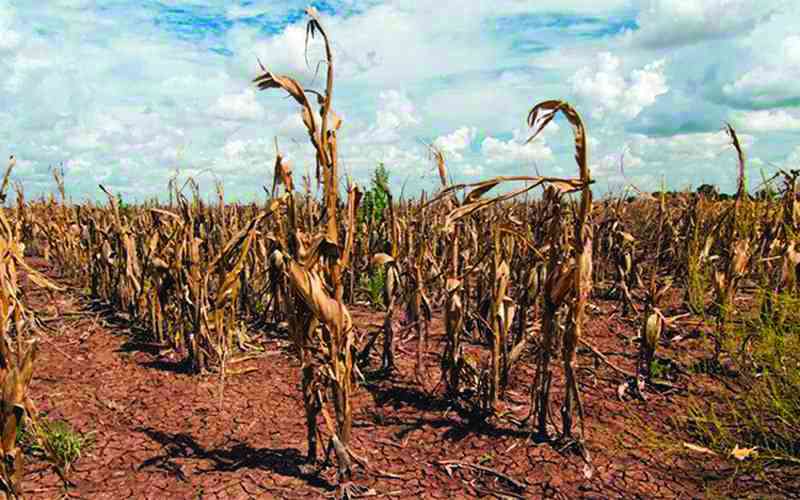Zim children vulnerable to climate change
