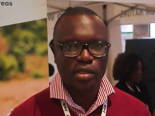 WWF seeks to mobilise US$25m to drive Zim’s nature transformation agenda