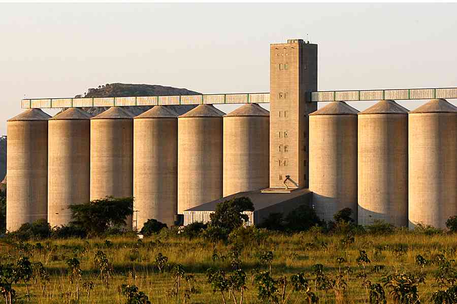 Indigenous Millers Urge Govt to Stand Firm on Grain Levies 